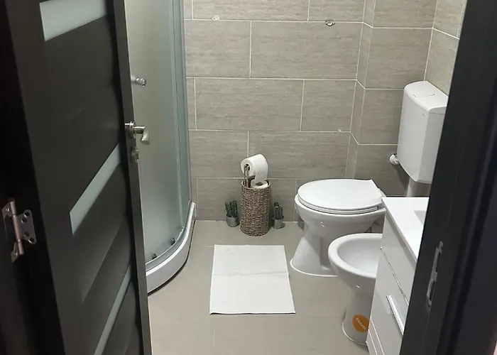 Apartment Garsoniera Maria Alezzi